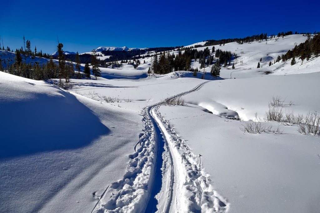 yellowstone trail conditions