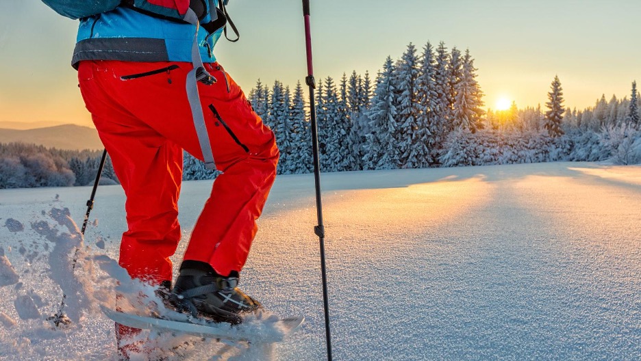 Guided Snowshoeing Destination Yellowstone guided-snowshoeing-destination-yellowstone