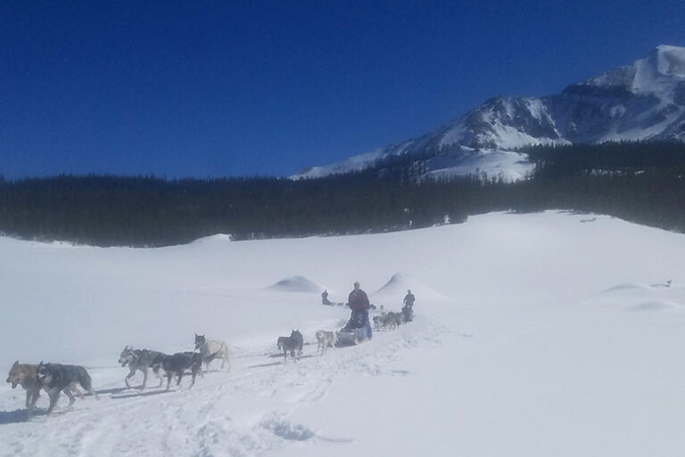 Spirit of the North 768x513