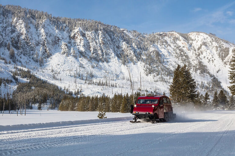 see yellowstone 768x511