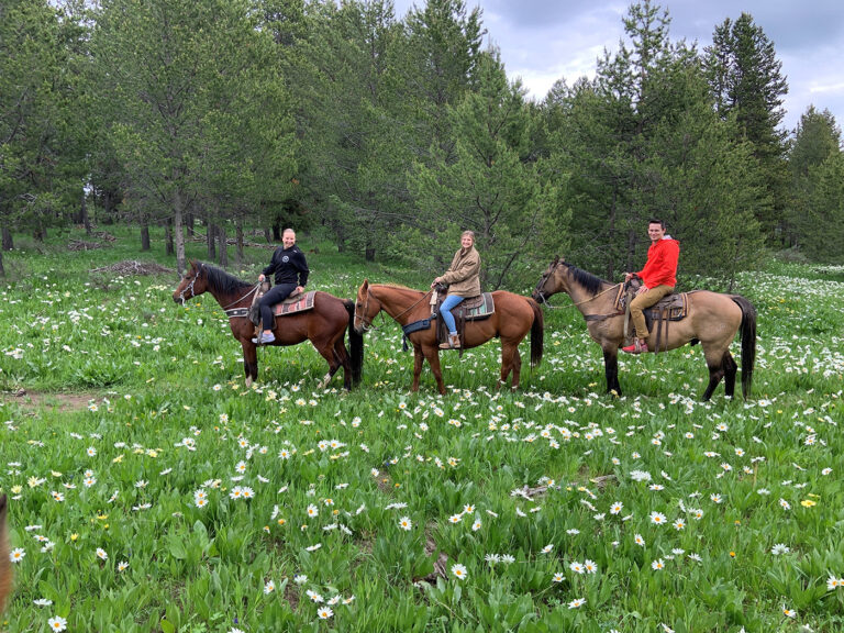 yellowstone horses 768x576