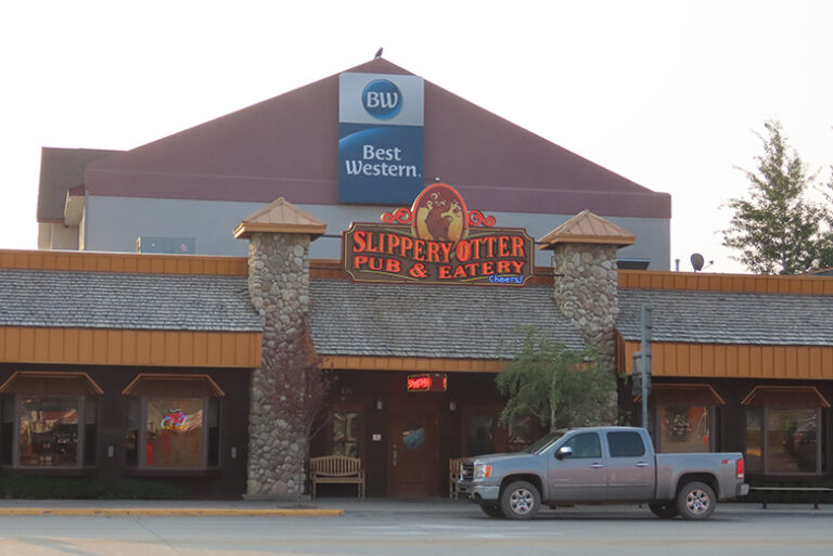 96d7eb0a 872c 433f b163 d738013352d5 slippery otter ext 768x513