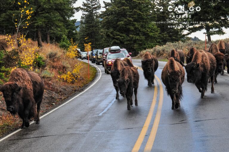 Nomad Unlimited Adventures Corp. 3 768x510