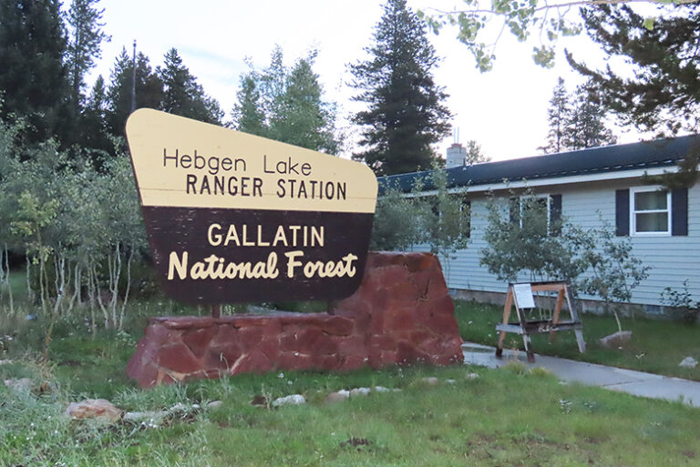 S Cluster gallatin national forest  768x513