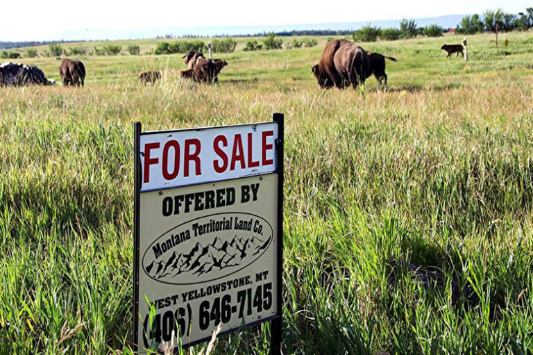 S Montana Territorial Land Co 768x511