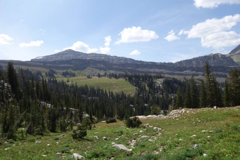 S Targhee Caribou National Forest 768x512
