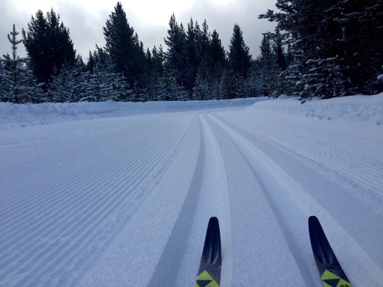 West Yellowstone Ski Education Foundation 768x576