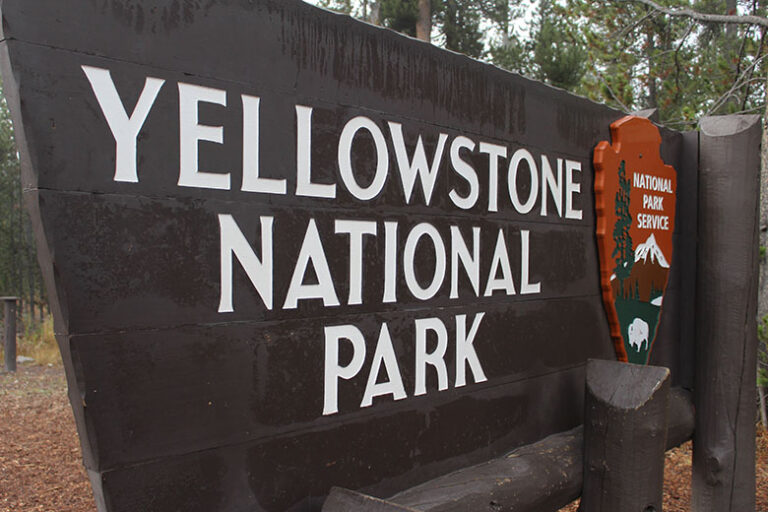 Yellowstone National Park 1 768x512