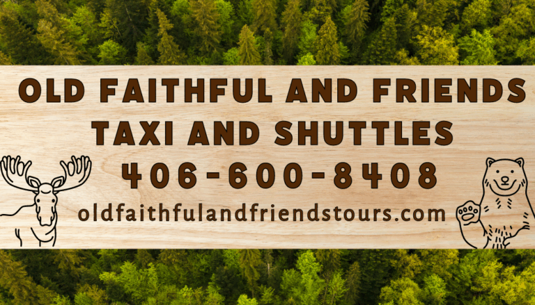 old faithful friends1 768x439