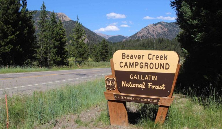 Beaver Creek 768x448