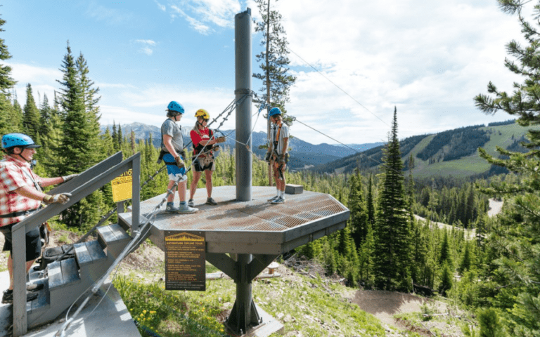 zipline 768x480