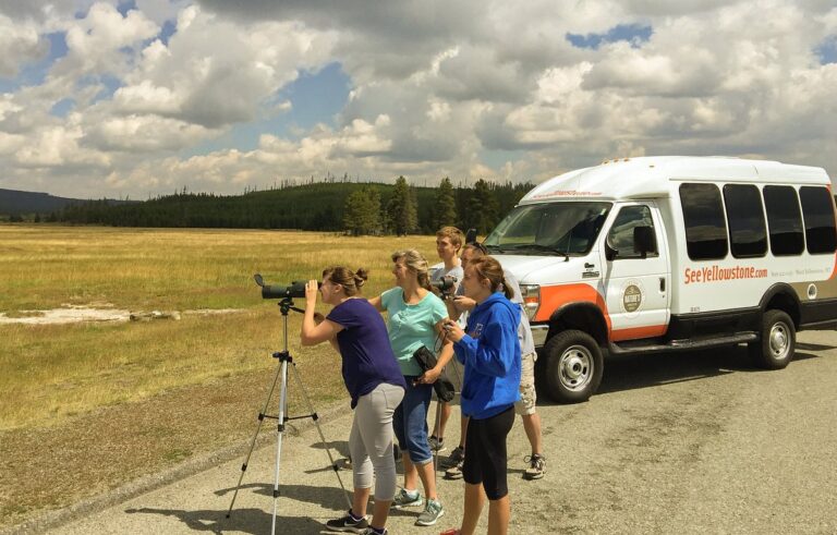 wildlife spotting opportunitie 768x491
