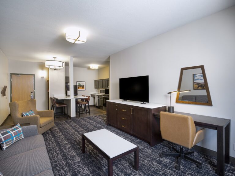 Gray Wolf Deluxe Suite King 123 1 768x576